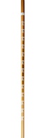 Телескопические палки для скандинавской ходьбы Kaiser Sport. Kaiser Sport Nordic Walking Gold