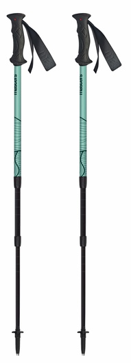 Телескопические палки для походов Masters Scout Arctic Blue