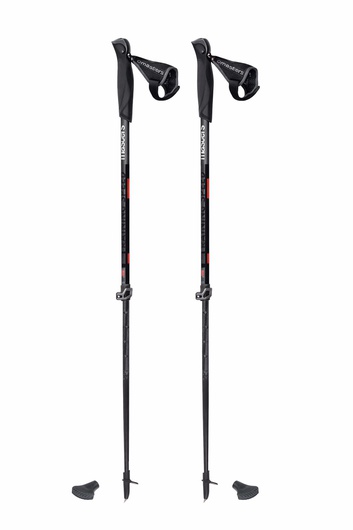 Телескопические палки для скандинавской ходьбы Masters Training Speed