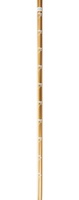 Телескопические палки для скандинавской ходьбы Kaiser Sport. Kaiser Sport Nordic Walking Gold